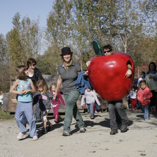 Sortie scolaire Montréal pour la cueillette de pomme