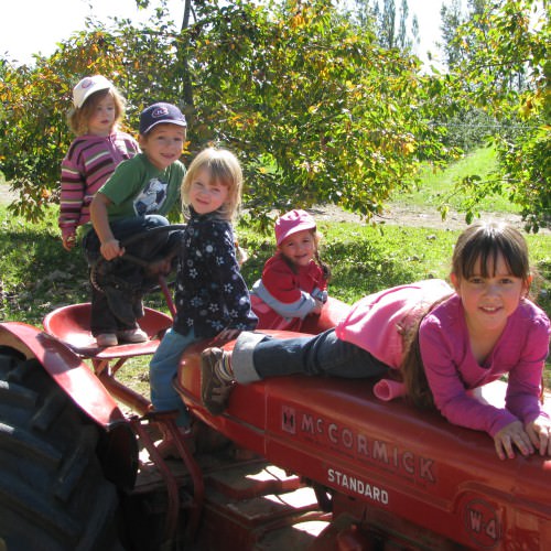 Enfants sur le tracteur de la zone de jeux